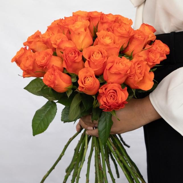 tango-tangerine-roses