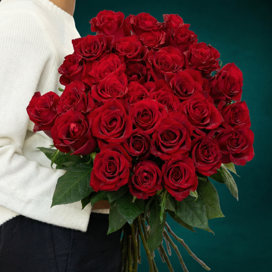 Devotion Rose Ruby Devotion- Red Roses Arrangement- House of Flowers
