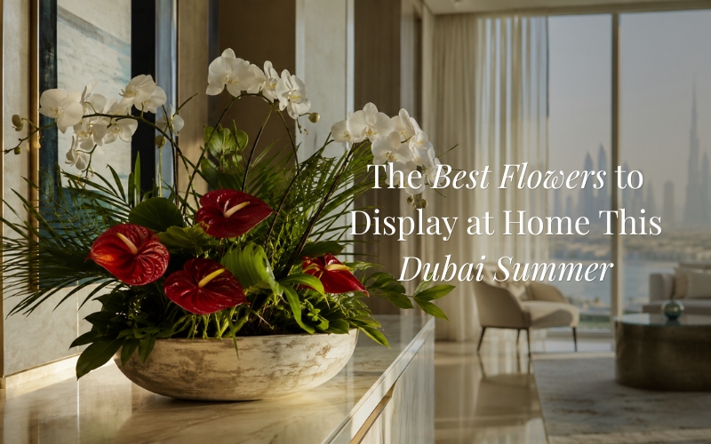 Summer flowers Dubai — deep red anthuriums and white orchid stems in a stone vessel on a marble console table inside a bright Dubai apartment with soft morning light
